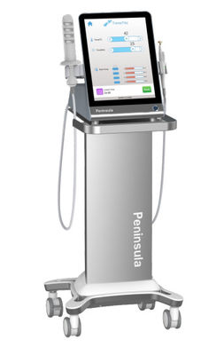 qualité  Peninsula Factory Non Surgical Therapy Vaginal Rejuvenation Radio Frequency For Clinical Usine